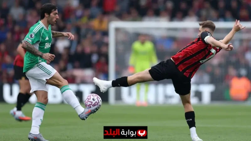 How to Watch Bournemouth vs Newcastle Live: Streams, TV Channel, Kick-Off Time, Team News and Match Prediction