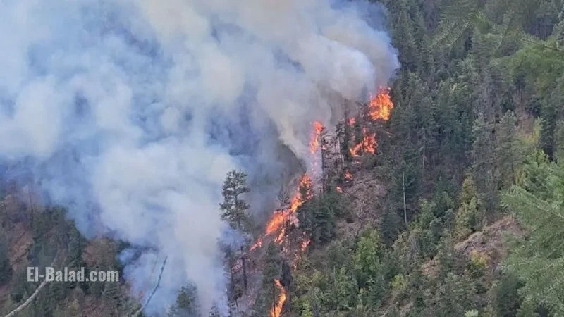 Peachland Fire Today: Munro Lake Wildfire Forces Evacuations, Hundreds of Homes Under Threat in British Columbia