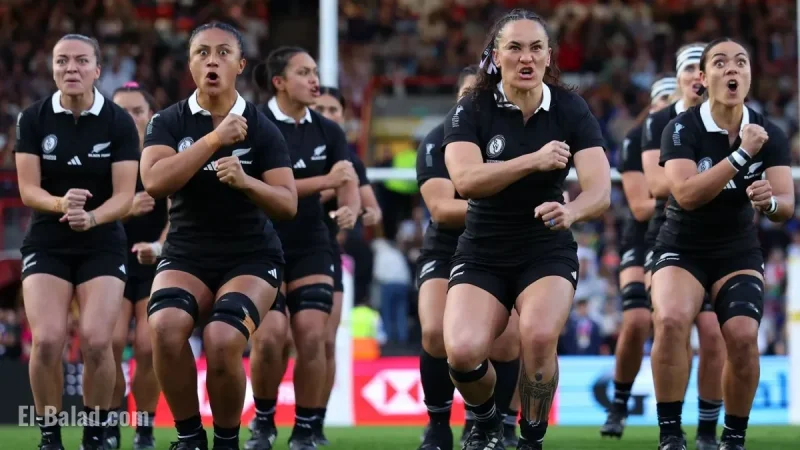Rugby World Cup Final 2025: Everything You Need to Know About the Biggest Rugby Showdown Today