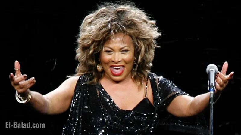 Tina Turner Rock n’ Roll Queen Honored with New Statue in Her Tennessee Hometown