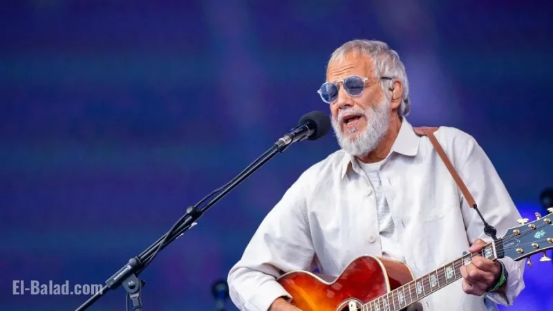 Cat Stevens Delays North American Tour Due to Visa Challenges