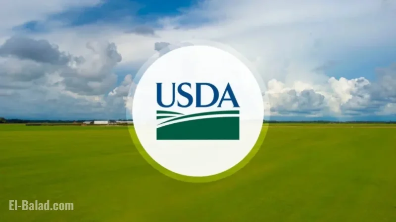 USDA Awards $531 Million Grant to Support Agricultural Recovery in Georgia