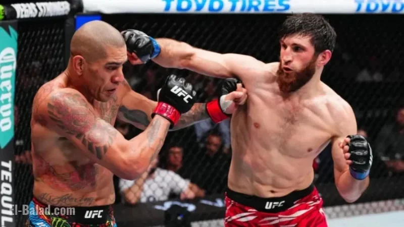 Magomed Ankalaev’s Coach Criticizes Alex Pereira Ahead of UFC 320 Calling Him an Old Kickboxer