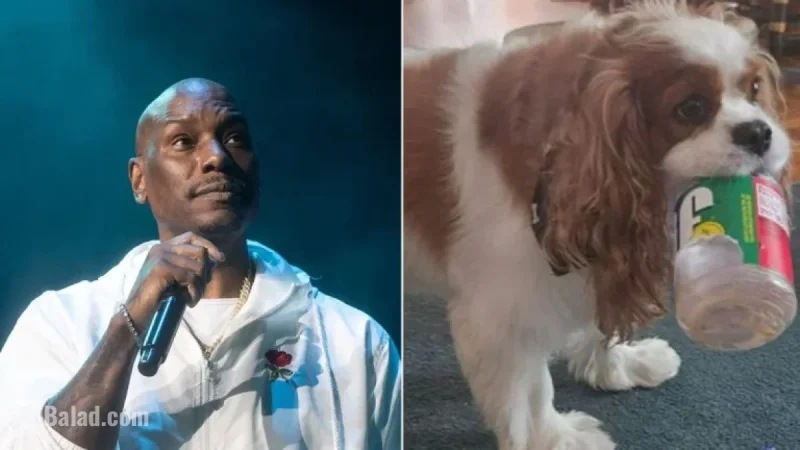 Arrest Warrant Issued for Tyrese Gibson as Dogs Allegedly Kill Neighbor’s Pet