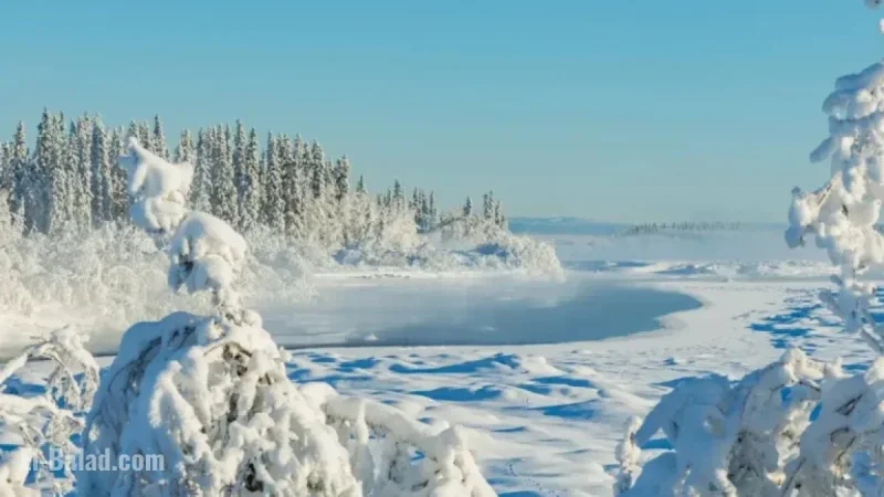 Winter Alert: 9 Inches of Snow Forecasted
