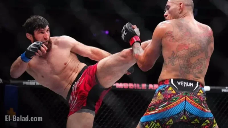 Magomed Ankalaev Shows Improved Performance