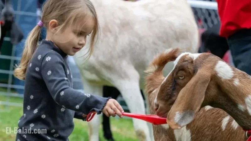 Manhattan Beach Hosts 53rd Annual Hometown Fair This Weekend