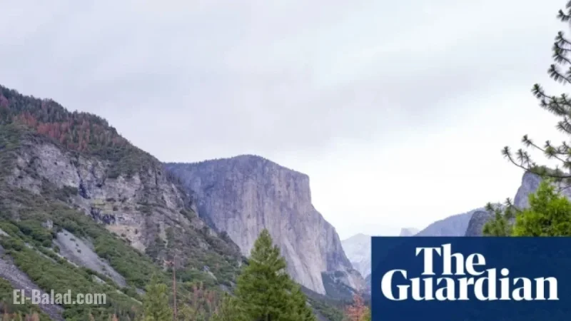 Climbing Prodigy Balin Miller, 23, Dies in El Capitan Fall