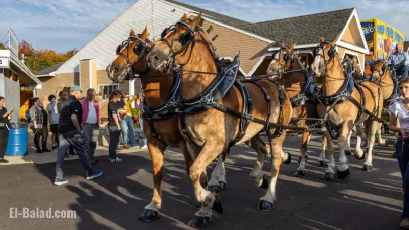 Topsfield Fair 2025: Your Guide to Concerts and Clydesdales