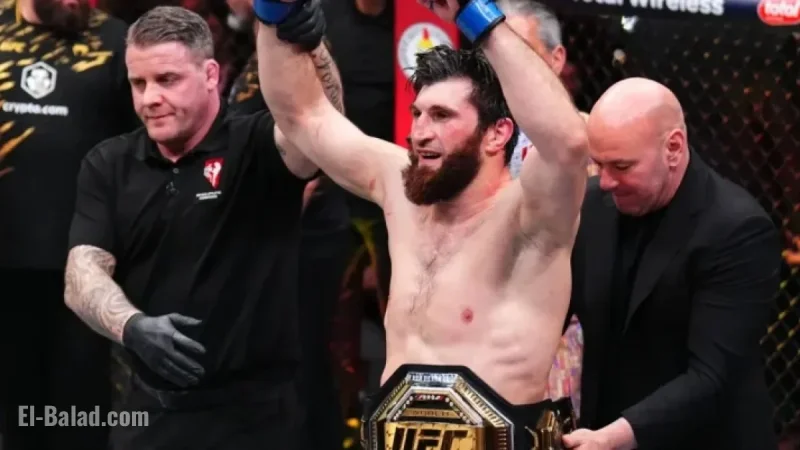 Magomed Ankalaev Targets Carlos Ulberg After UFC 320 Victory