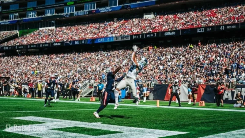 Tommy Tremble Scores Touchdown in Standout Day for Tight Ends