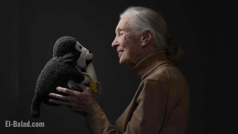 Jane Goodall Cause of Death: World Mourns the Peaceful Passing of a Global Conservation Icon at 91