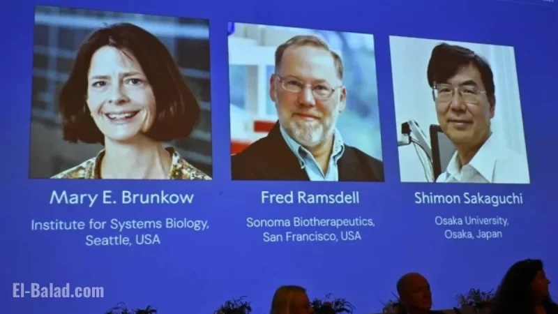 Two US Scientists and a Japanese Researcher Win Nobel Prize in Medicine