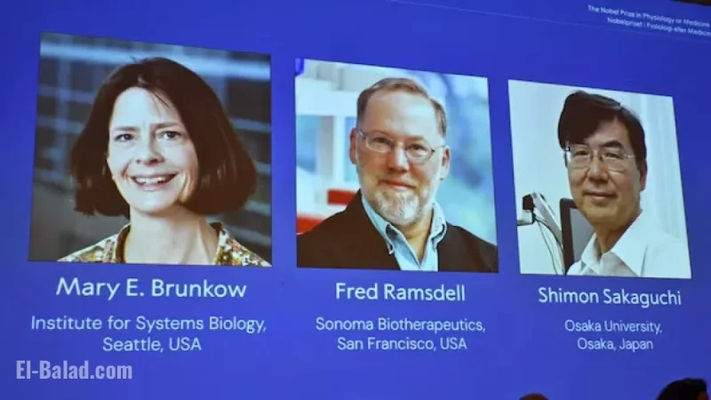American and Japanese Scientists Clinch Nobel Prize in Medicine