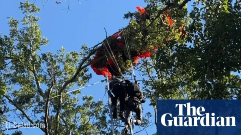 Nashville Skydiving Instructor Dies After Apparent Parachute Failure