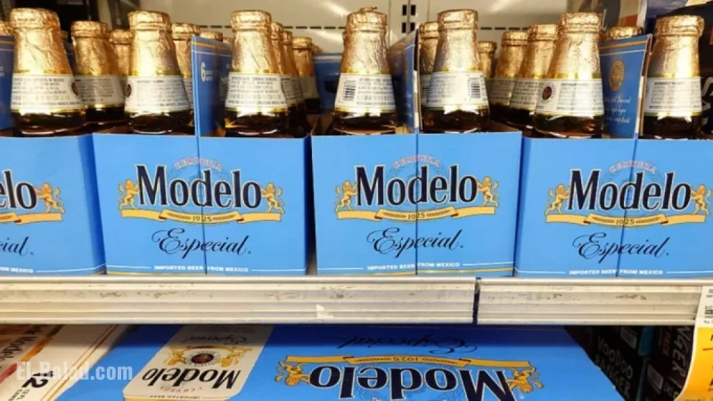 Constellation Brands Reveals Strong Q2 2026 Earnings Report