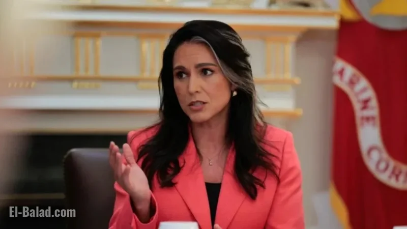 DNI Tulsi Gabbard Commands U.S. Intel Chiefs to Halt Leaks