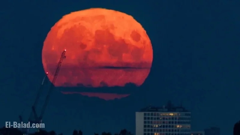 See the First 2025 Supermoon: Harvest Moon Viewing Guide