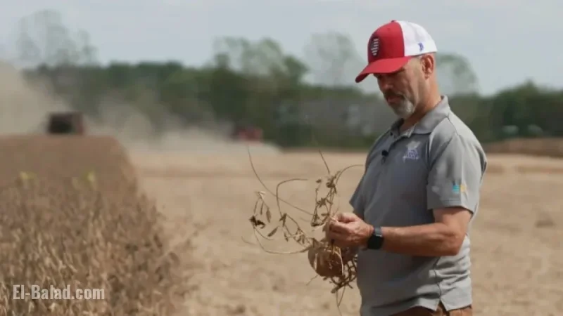 Soybean Farmer Faces Challenges from China’s Boycott in Trade War