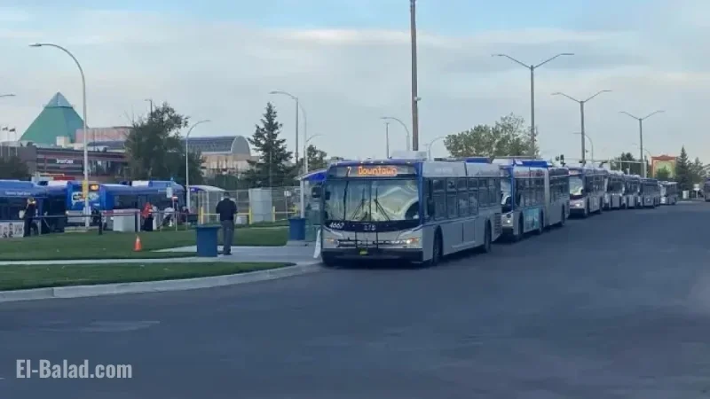 Two Stabbed in West Edmonton Mall Phone Robbery, Three Arrested