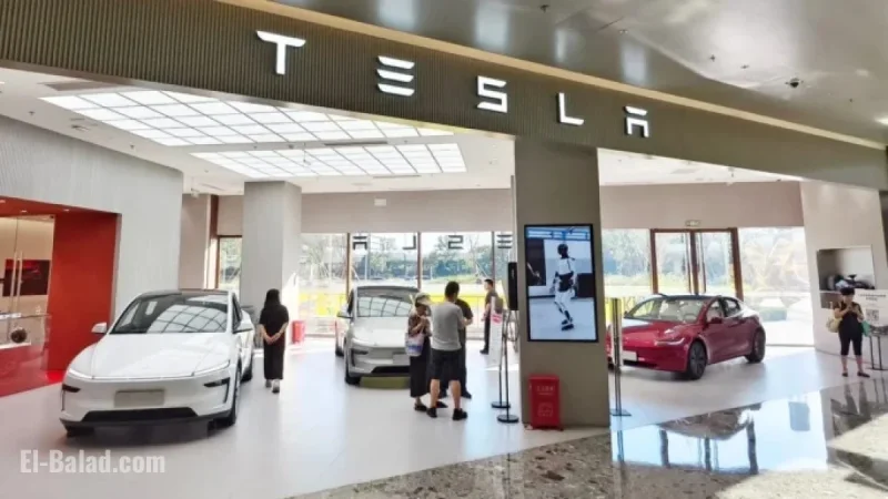 China’s Car Enthusiasts React to Tesla’s Affordable New Models