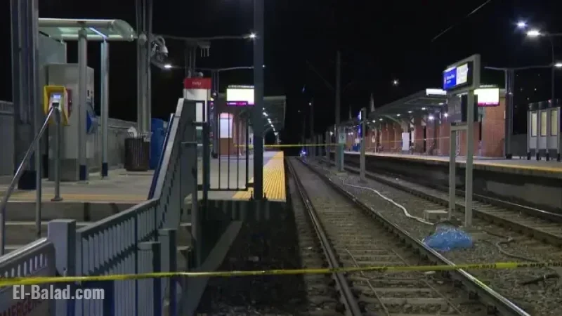 Calgary Police: Impaired Man Seriously Injured in CTrain Accident