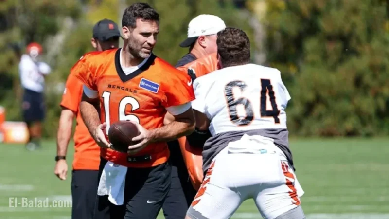 NFL Insider Reveals Joe Flacco’s Impact as Bengals Game-Changer