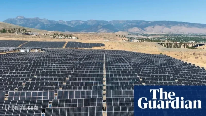 Trump Administration Halts Major Solar Project, Impacting Renewable Energy Progress