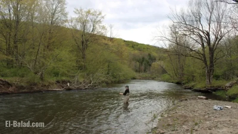 Orvis Closes 41 Stores to Focus on Core Fishing Heritage