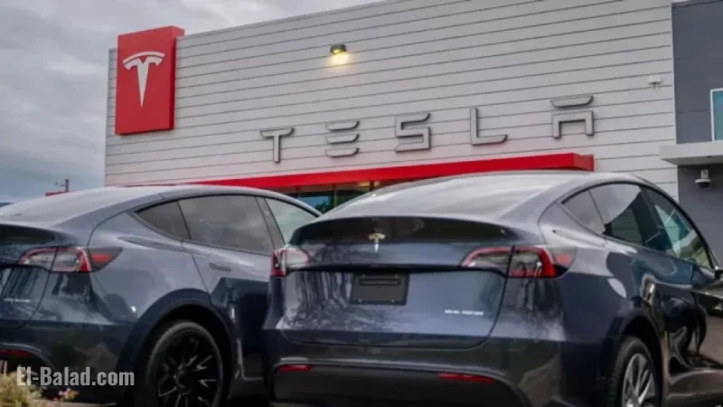 Tesla Shares Drop Amid Mixed Reviews of New EV Models