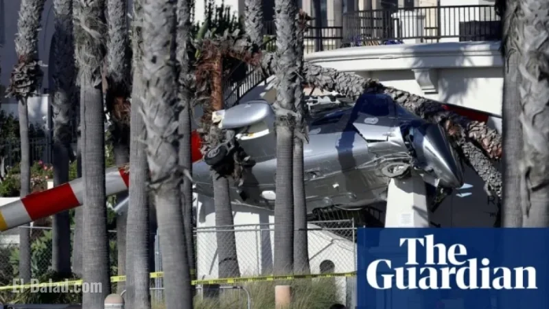 Helicopter Crashes into Palm Trees at Busy California Beach
