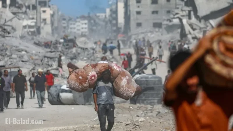 El-Sisi and Trump Lead Gaza Summit in Egypt This Monday