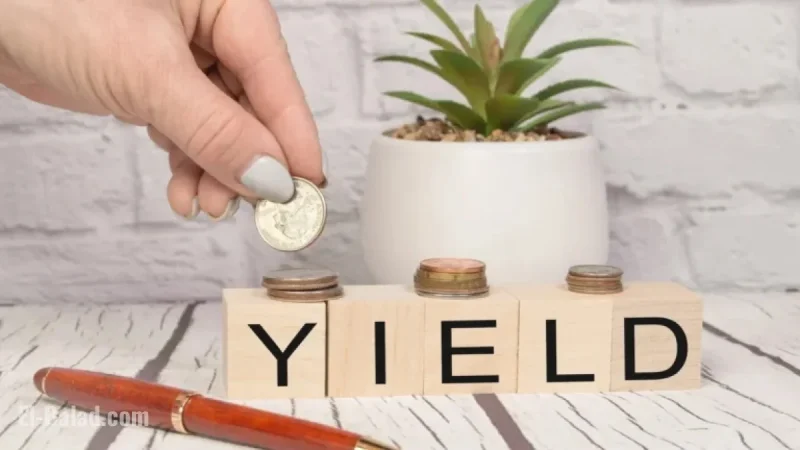 Top Dividend Stocks to Invest $10,000 in Today