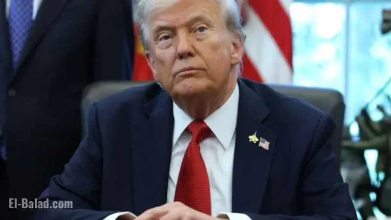Analyst: Trump’s Tariff Revenue May Trigger Price Hike Feedback Loop