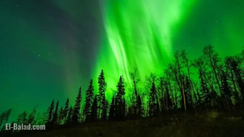 Aurora Borealis Visibility: Northern Lights May Illuminate These States Tonight