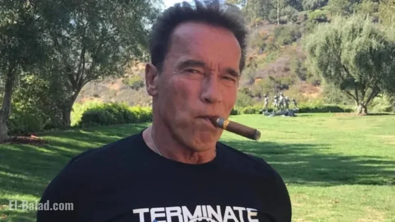 Arnold Schwarzenegger Reflects on Embarrassment Over Cult Classic Box Office Failure