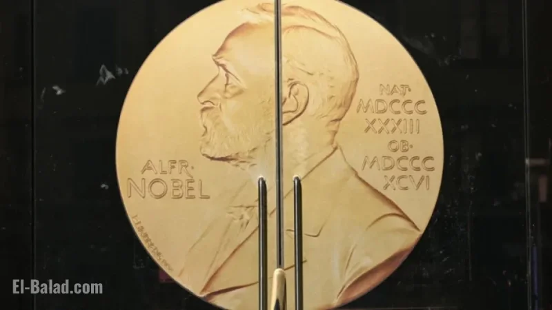AI or Wealth Gap: Nobel Economics Prize Concludes 2025 Season