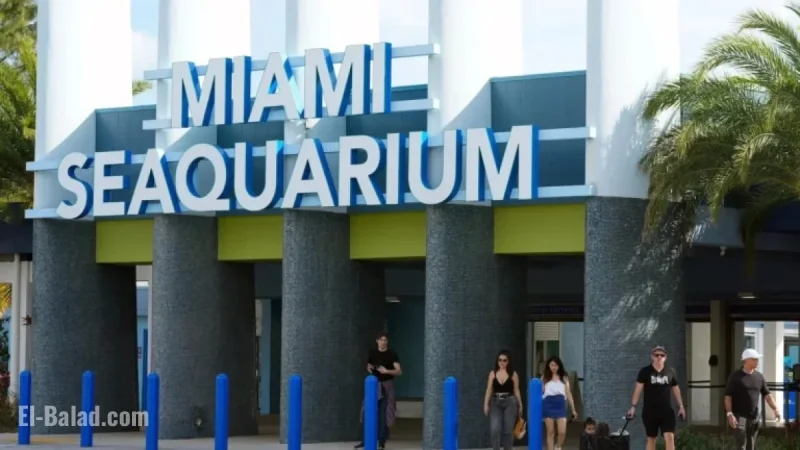 Miami Seaquarium Closes Amidst Controversy and Cherished Memories