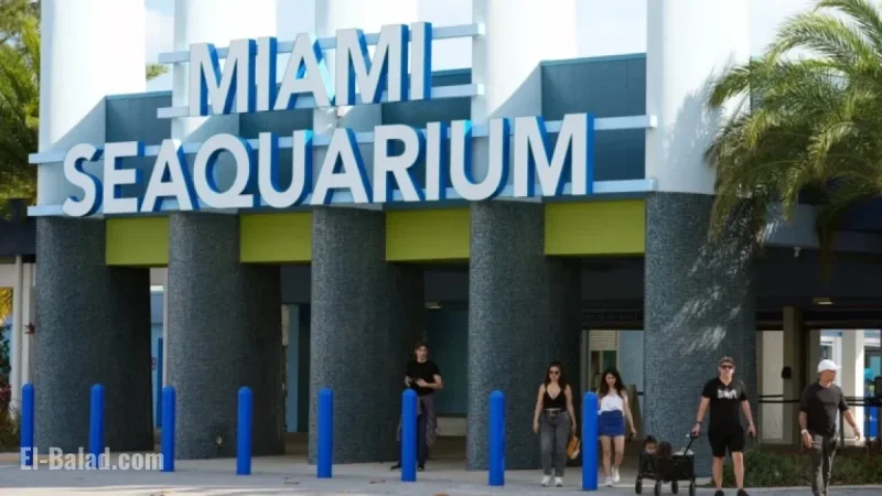 Miami Seaquarium Closes Amid Longstanding Animal Welfare Concerns