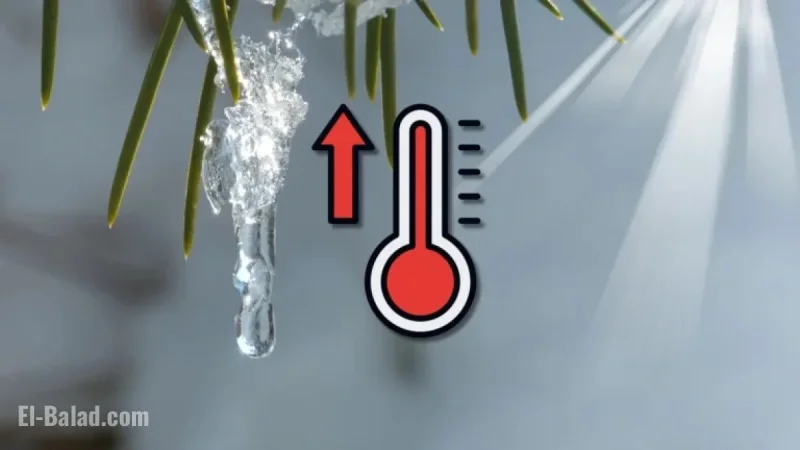Canada Experiences Decline in Freezing Nights Amid Climate Warming