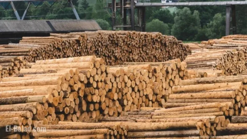 Trump Implements Tariffs on Timber and Furniture Imports