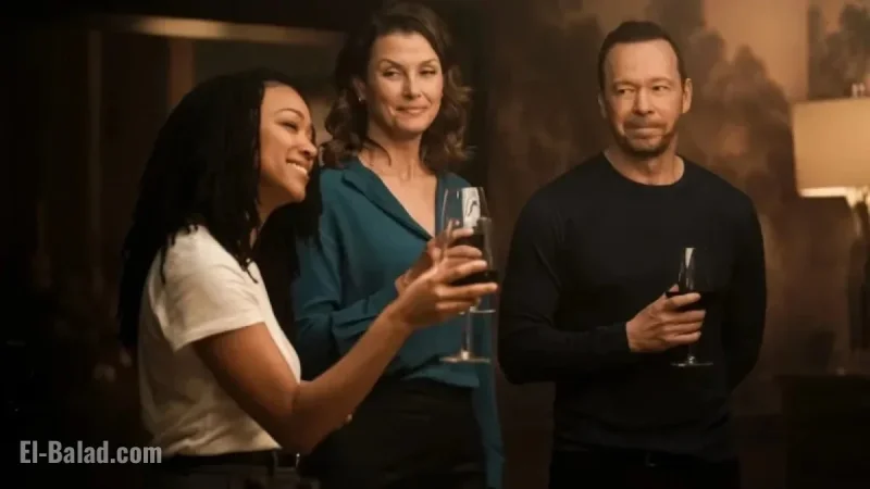 Blue Bloods Spinoff Retains Original Formula