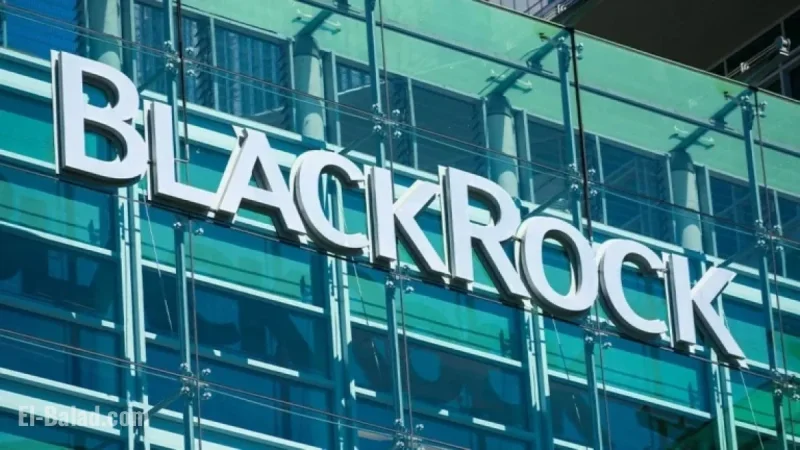 BlackRock Secures Buy Point, Revenue Rebounds Ending Losing Streak