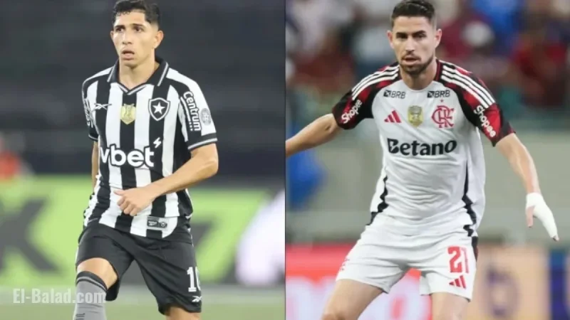 Where to Watch: Botafogo vs. Flamengo Live Broadcast Channel
