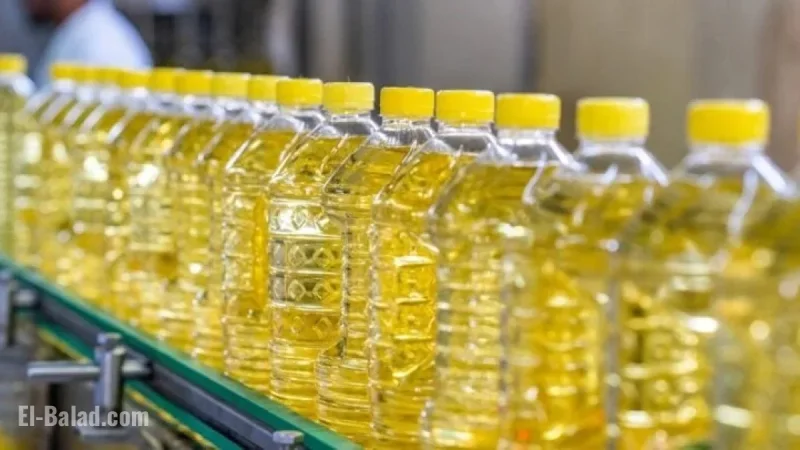 Australian Oilseeds Stock (COOT) Soars 365%: Uncover the Reasons Today
