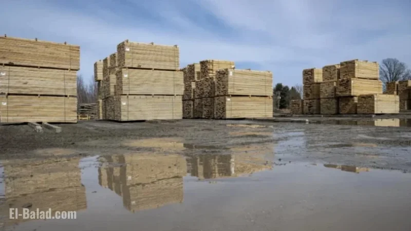 Higher Tariffs on Canadian Lumber May Fail to Boost US Forestry Investments