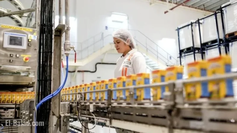 World’s Largest Food Company Slashes 16,000 Jobs Amid Automation Shift