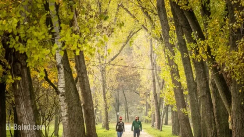 Budapest Weekend Events: Your Guide for October 17-19