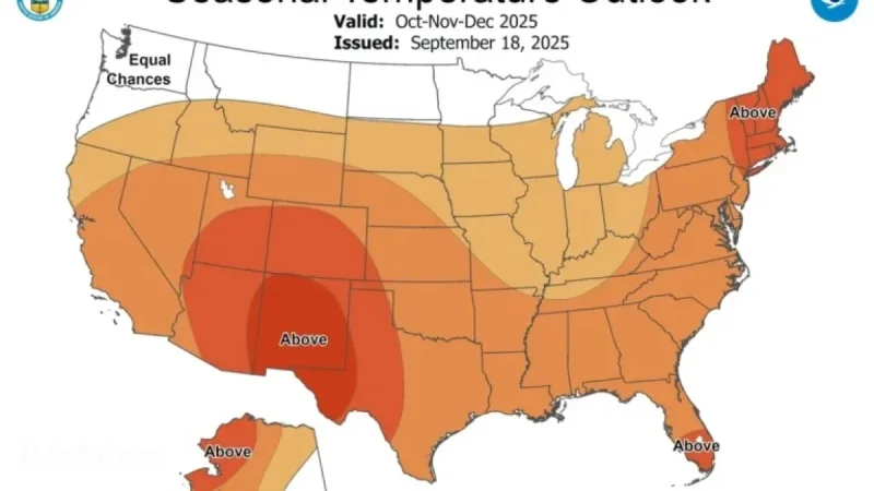 Florida Winter Forecast: AccuWeather, NWS, Almanac Predict Cold Return