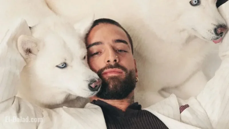 Maluma Features with His Dogs in Dogue: “They Choose Us”